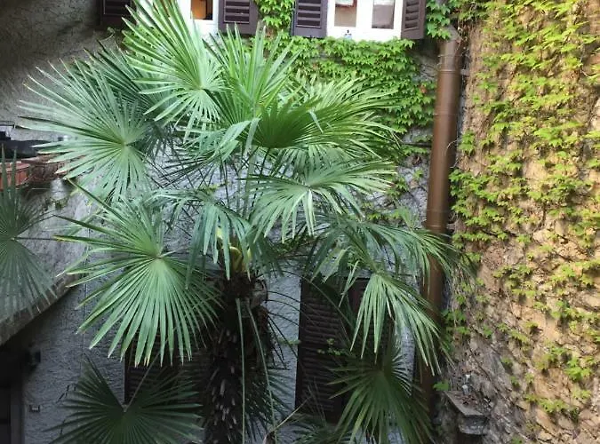 Le Kraken Charme & Relax *