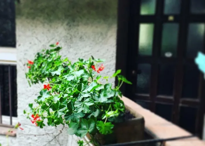 Le Kraken Charme & Relax * Bergamo